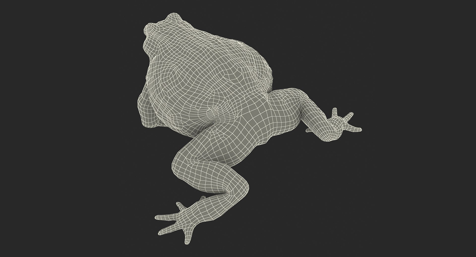 frogs rigged 3D https://p.turbosquid.com/ts-thumb/64/g6OUVs/xc7Evla8/riggedfrogscollection3dmodel042/jpg/1512536267/1920x1080/fit_q87/a00298c9ca6f5527c4a5a6d16ce59b08630088f5/riggedfrogscollection3dmodel042.jpg