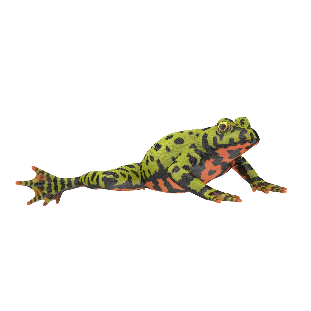 frogs rigged 3D https://p.turbosquid.com/ts-thumb/64/g6OUVs/yjfycoZ5/rigged_frogs_collection_360/jpg/1512529404/1920x1080/turn_fit_q99/41df1cb7ad69742b786049bf0524a1f07be68531/rigged_frogs_collection_360-1.jpg