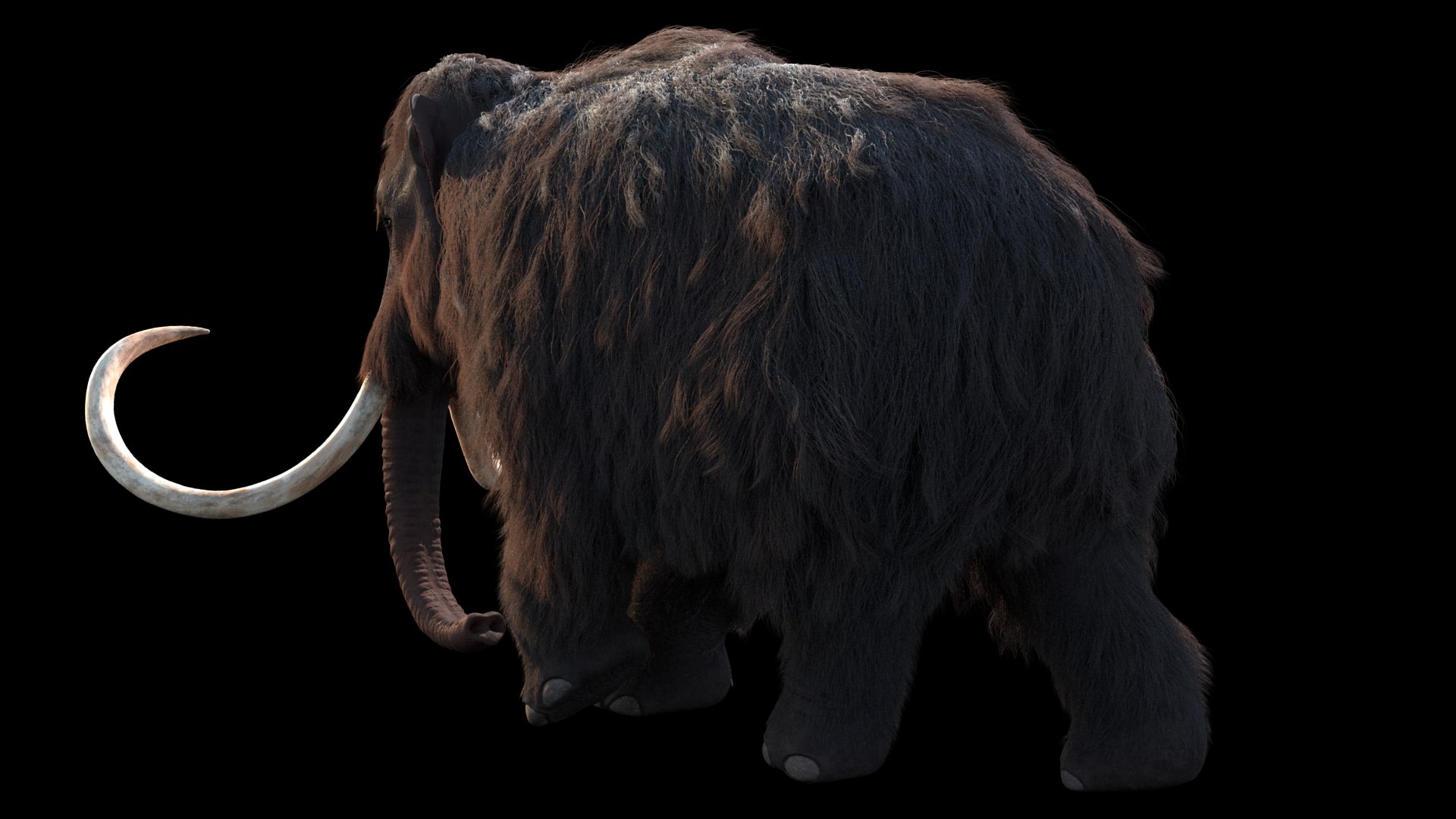 3D mammuthus primigenius animate rig https://p.turbosquid.com/ts-thumb/64/iguk6Y/4R3FQbWl/renderbackblack/png/1514741576/1920x1080/fit_q87/da6488abbfa3ceed4ffd1926873d830a76627eb9/renderbackblack.jpg