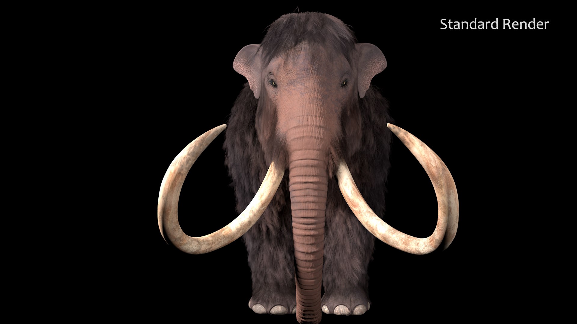 3D mammuthus primigenius animate rig https://p.turbosquid.com/ts-thumb/64/iguk6Y/F4OgW4R2/standard2/png/1514790214/1920x1080/fit_q87/717842513c7b9931ebe466e286ecd1720718f112/standard2.jpg
