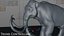 Mammuthus primigenius Rigged / animado