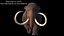 Mammuthus primigenius Rigged / animado