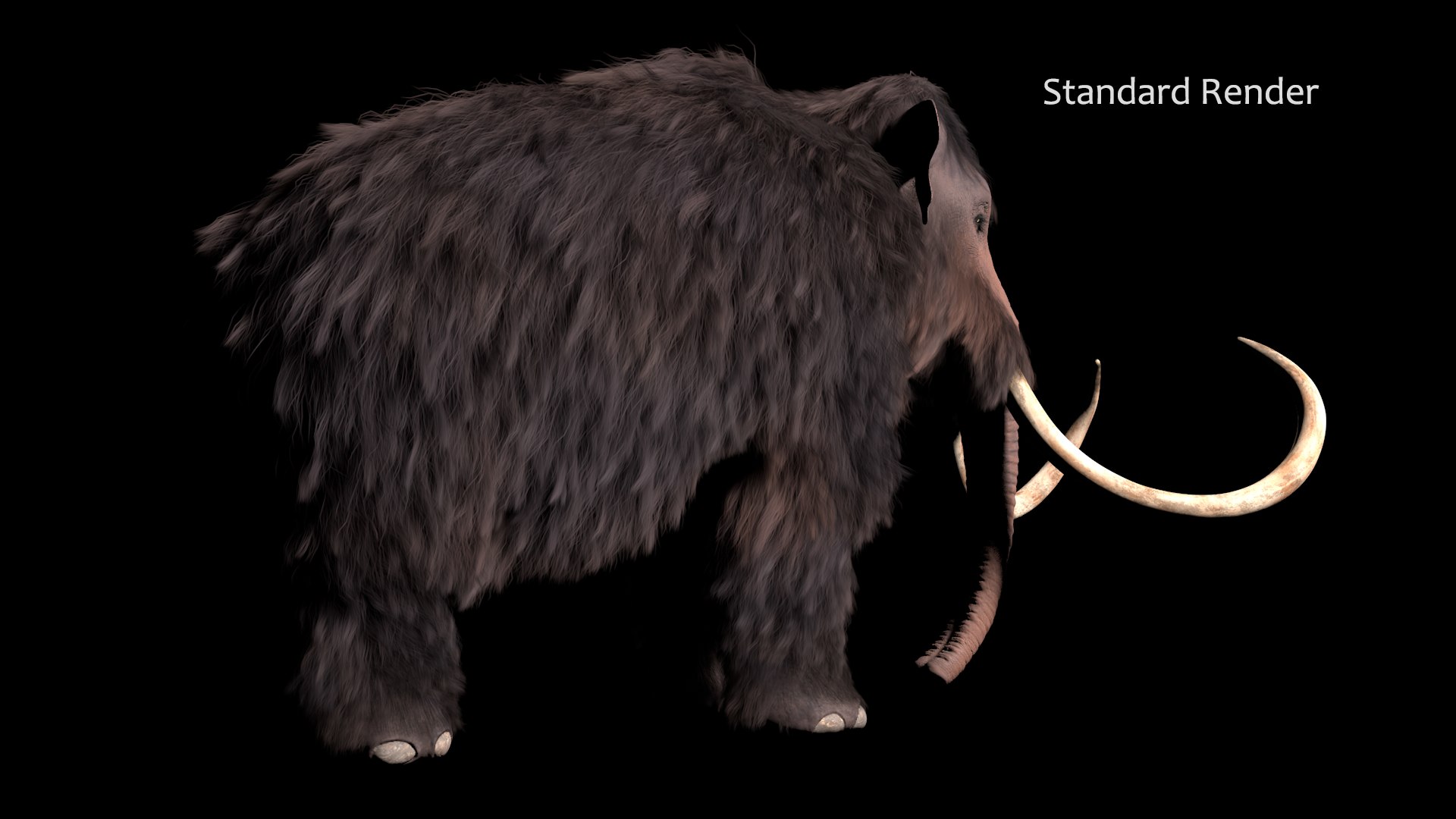 3D mammuthus primigenius animate rig https://p.turbosquid.com/ts-thumb/64/iguk6Y/TE4ncqFH/standard3/png/1514790214/1920x1080/fit_q87/fa73cc72a7ca27641b6a2913f3de9c9501e3d907/standard3.jpg