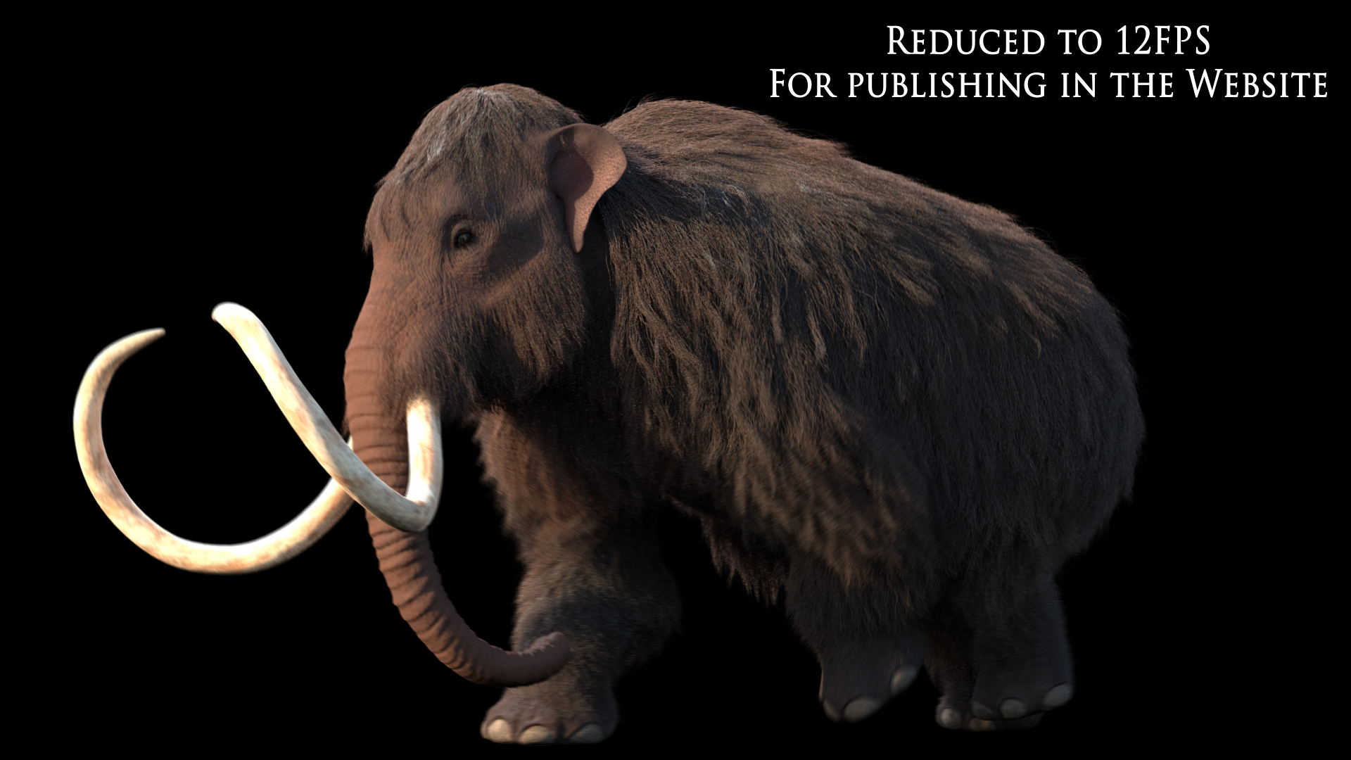 3D mammuthus primigenius animate rig https://p.turbosquid.com/ts-thumb/64/iguk6Y/XKgh01VG/primigeniussidewalk/png/1514684519/1920x1080/turn_fit_q99/7a34a97a6da17834dd0b5c21da5786806e137b2c/primigeniussidewalk-1.jpg