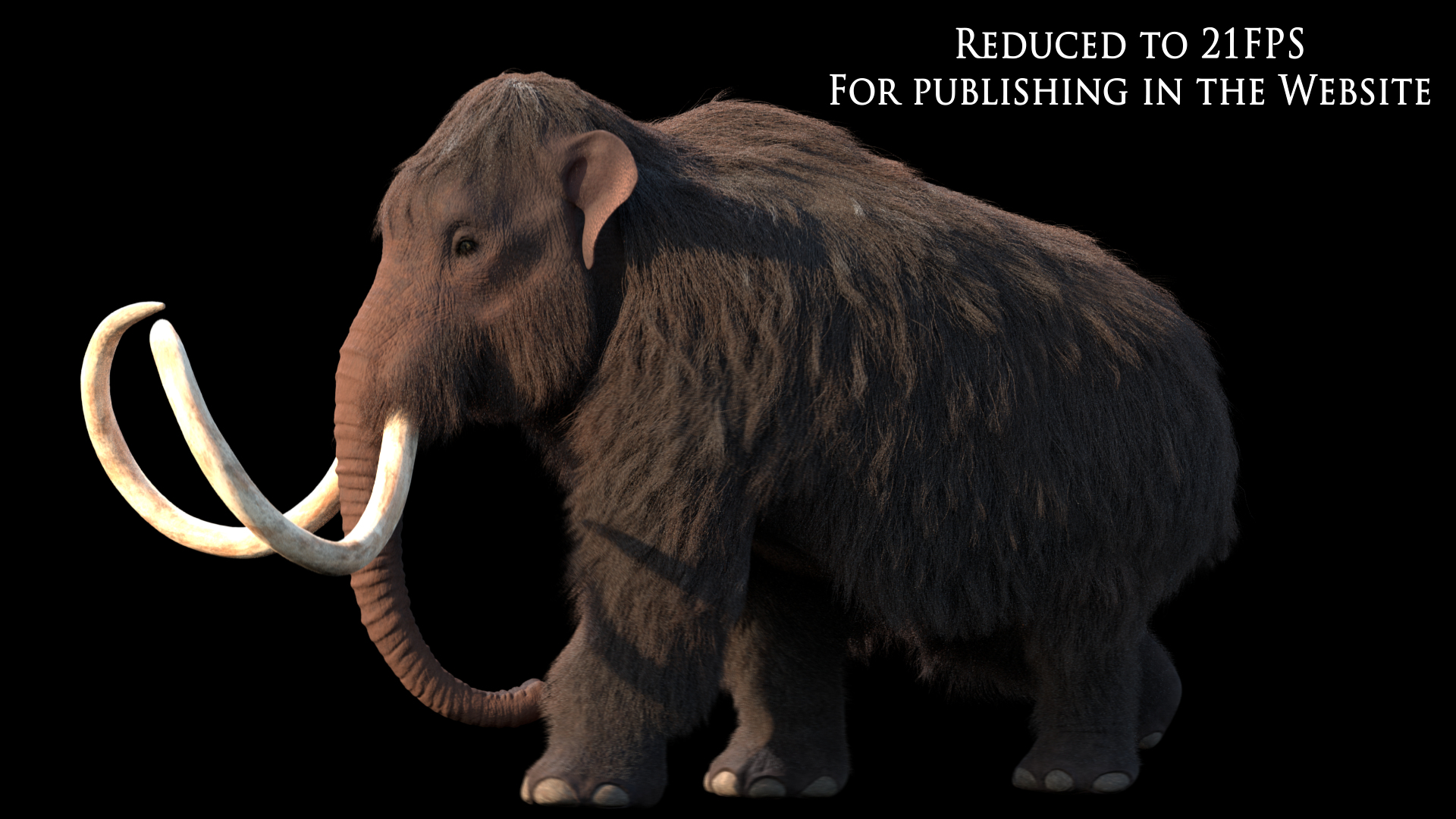 3D mammuthus primigenius animate rig https://p.turbosquid.com/ts-thumb/64/iguk6Y/rh4SP4X9/primigeniussidewalk/png/1514684285/1920x1080/turn_fit_q99/0224eef29232d7deb2b7e0fd1735b2c118ca042b/primigeniussidewalk-1.jpg