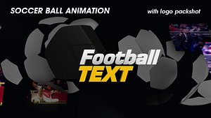 3d model broadcast soccer ball animation