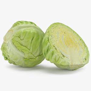 3D model Whole and Half Cabbage