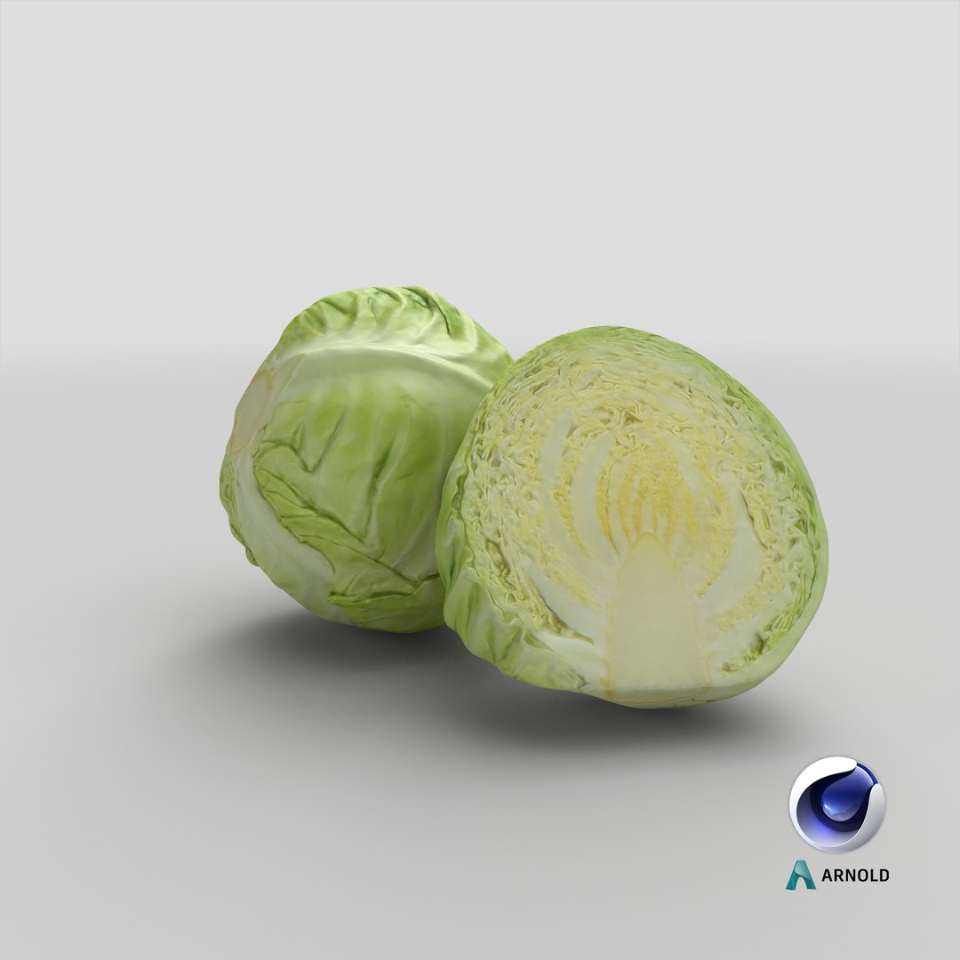 3D model Whole and Half Cabbage https://p.turbosquid.com/ts-thumb/64/tvzdZp/8V/stemcell_cinema_4d_arnold_render/png/1646989942/1920x1080/fit_q87/abe1c837d3a62fc7e443ba233e2224a6cc2a4c3c/stemcell_cinema_4d_arnold_render.jpg