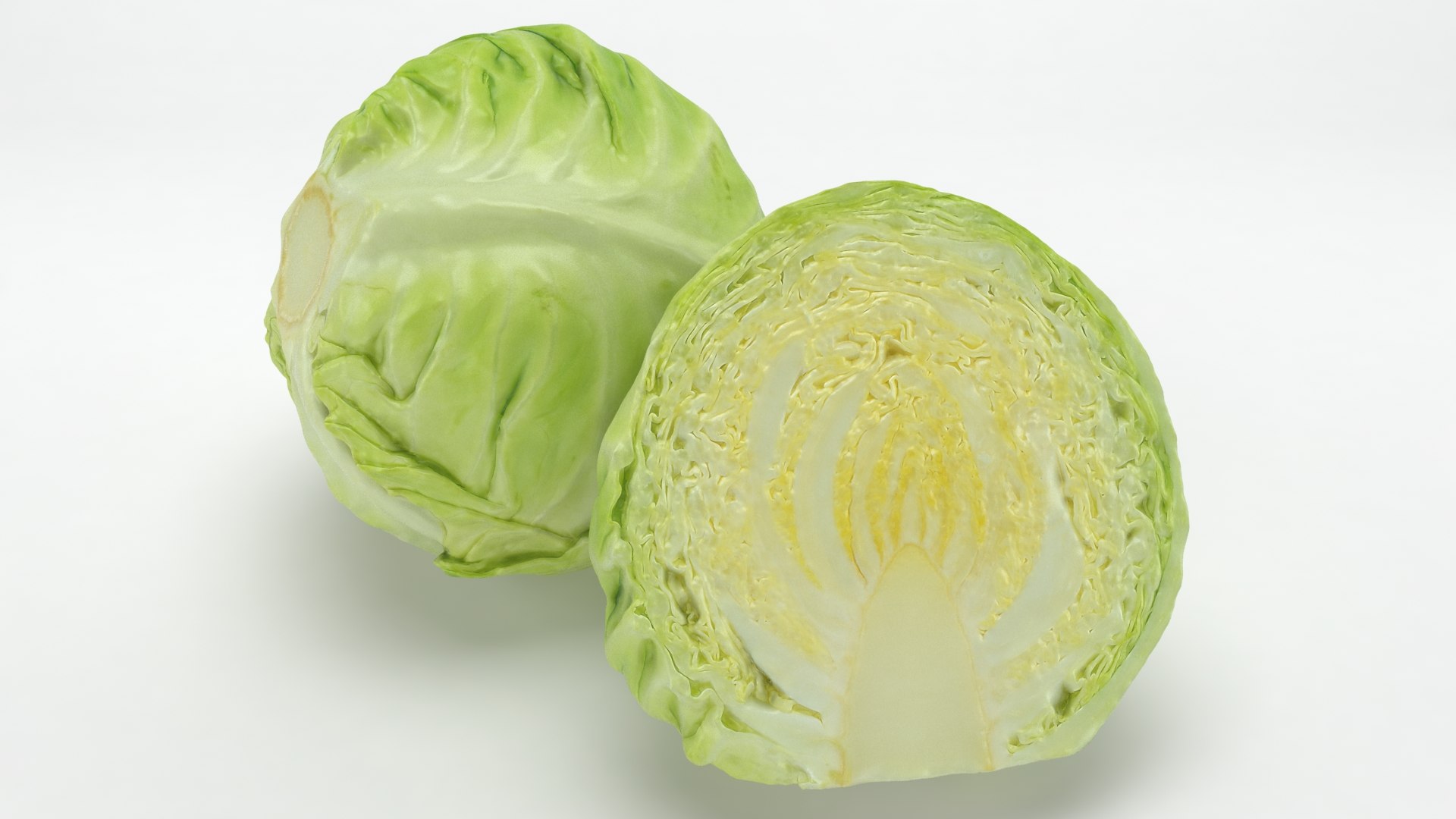 3D model Whole and Half Cabbage https://p.turbosquid.com/ts-thumb/64/tvzdZp/Ux/wholehalfcabbage_b0002/jpg/1645981676/1920x1080/fit_q87/a4b904f1943afa83a08fc401f2f5e7f3e4224fac/wholehalfcabbage_b0002.jpg