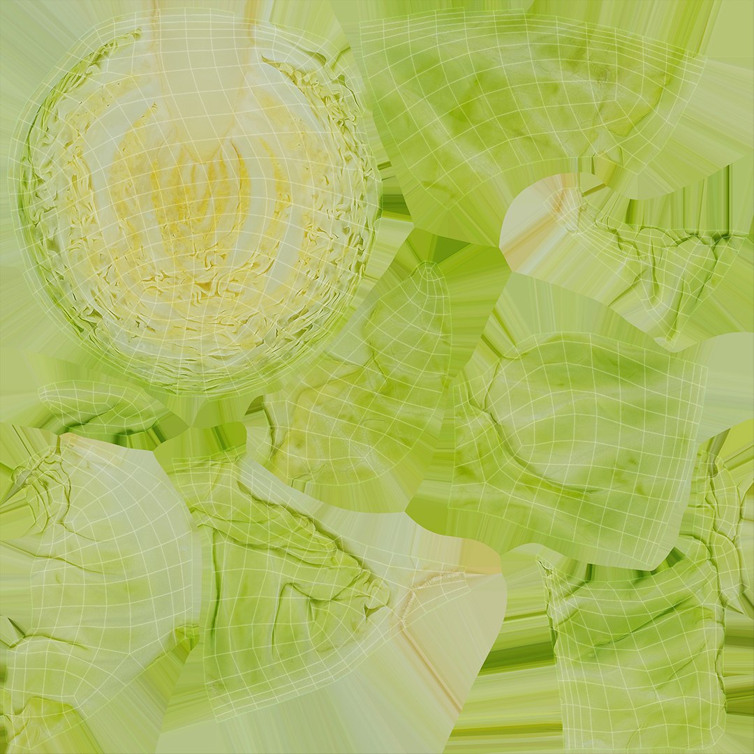 3D model Whole and Half Cabbage https://p.turbosquid.com/ts-thumb/64/tvzdZp/ng/wholehalfcabbage_d0005/jpg/1645981803/1920x1080/fit_q87/c6f4fa07a03759feec55f70d4f712aa5f657fb38/wholehalfcabbage_d0005.jpg