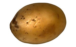 3D potato clean ready