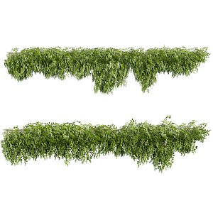 plant vol 947 - creeper - ivy 3D