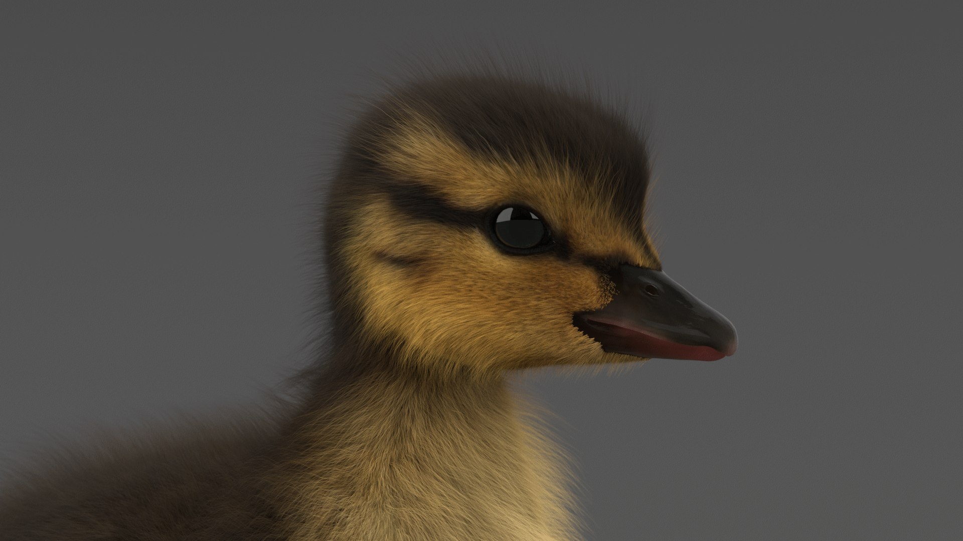 duckling rigged 3D https://p.turbosquid.com/ts-thumb/65/KnMM2S/RR0imGlu/11/png/1579811432/1920x1080/fit_q87/4b847d30d73ece3e75eeb9c5b103d96d74cfaeb3/11.jpg