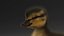 Duckling RIGGED