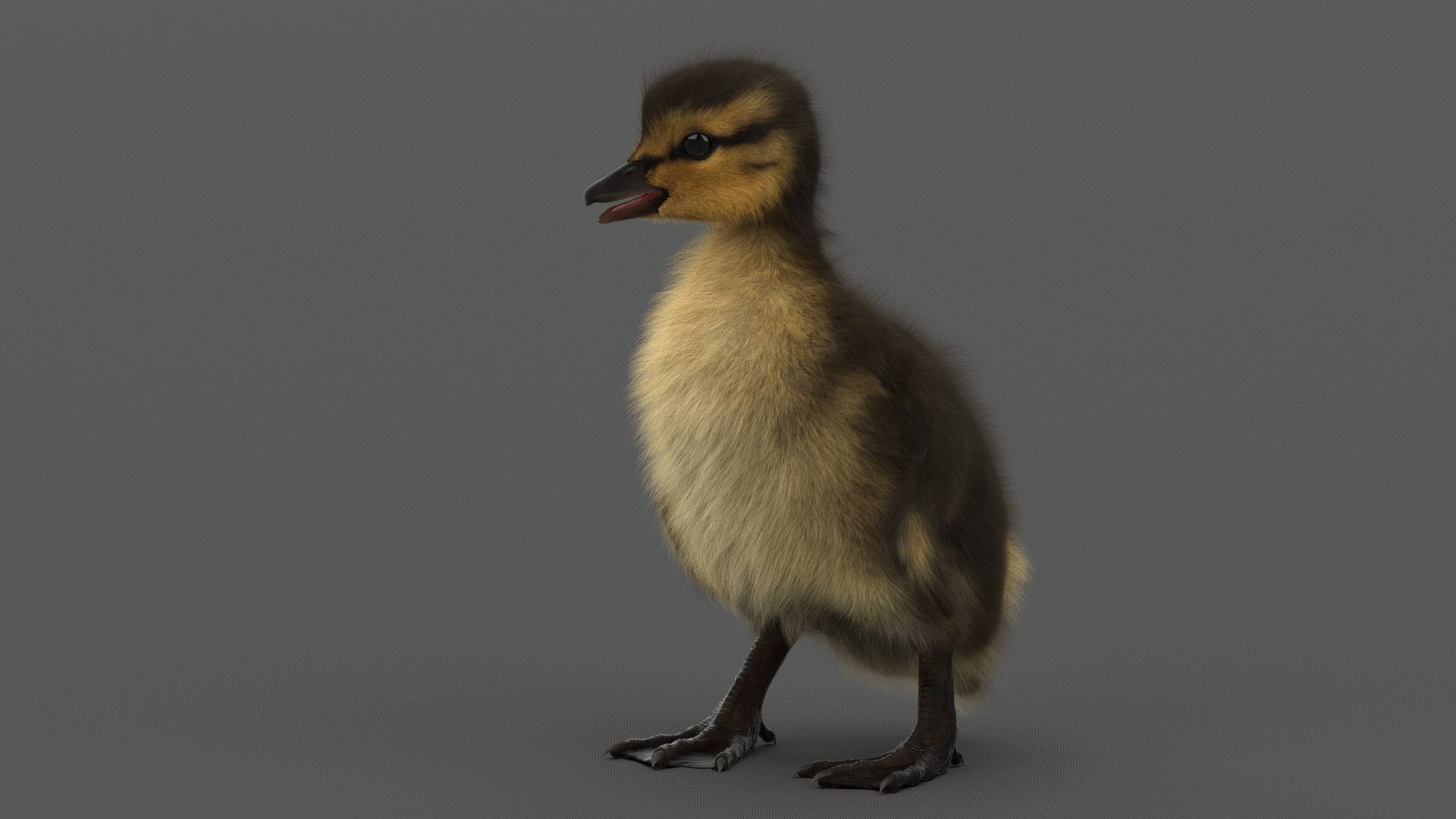 duckling rigged 3D https://p.turbosquid.com/ts-thumb/65/KnMM2S/hrR8KecN/9/png/1579811432/1920x1080/fit_q87/20b724bc806886df95d3a0bd29b836a98de1d179/9.jpg