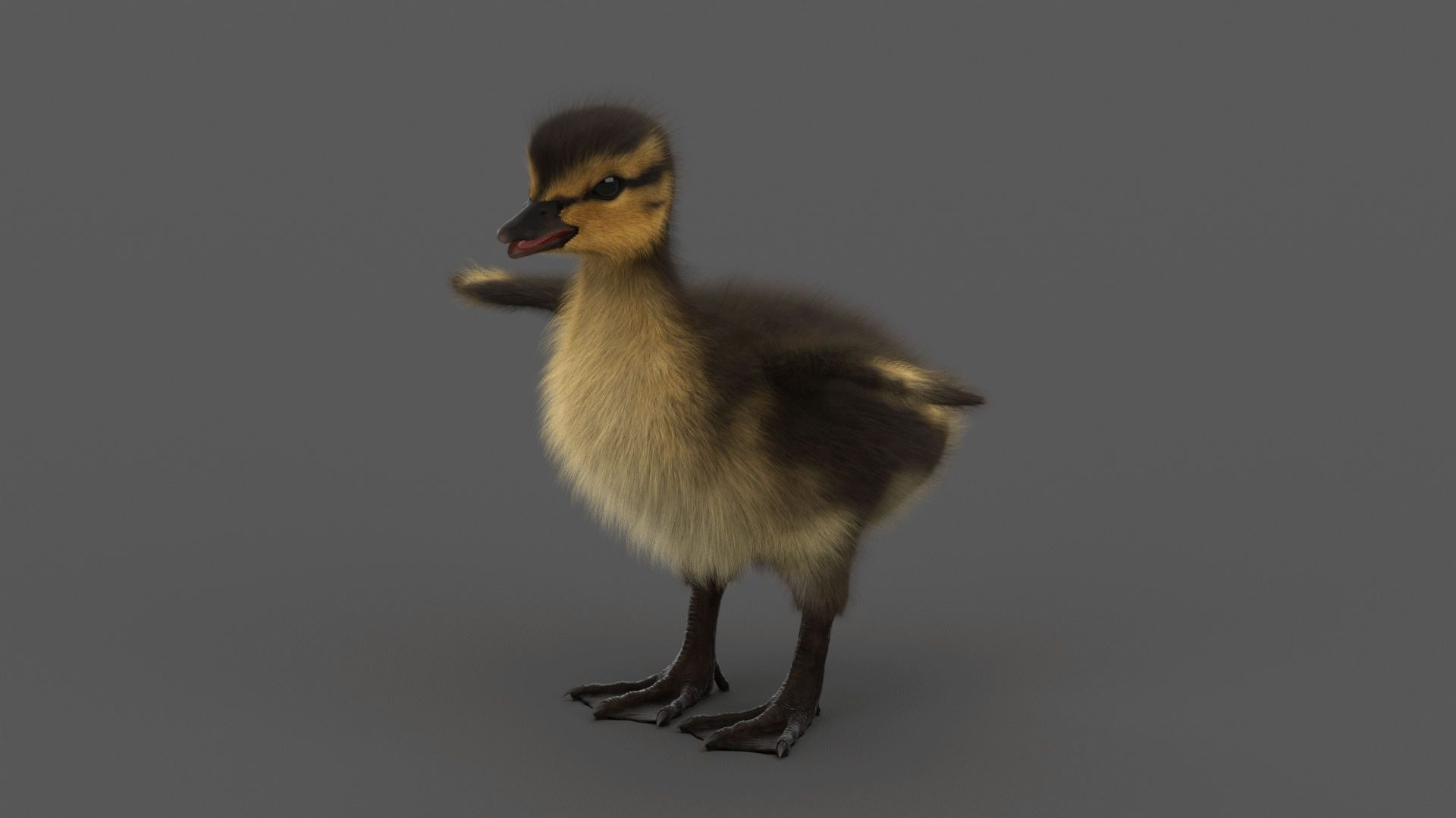 duckling rigged 3D https://p.turbosquid.com/ts-thumb/65/KnMM2S/keyxDWX3/d/png/1579811358/1920x1080/turn_fit_q99/574826efbb7be1c0145b82f2d1ca9628971b05ae/d-1.jpg
