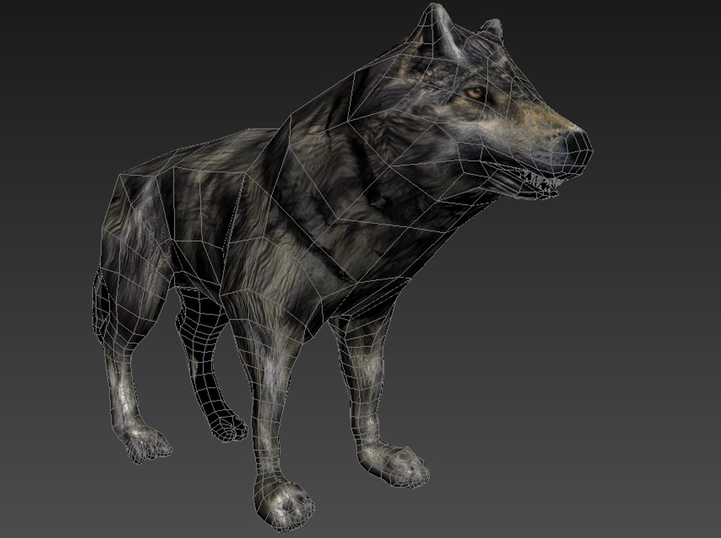 Low-poly Rigged 3d Model