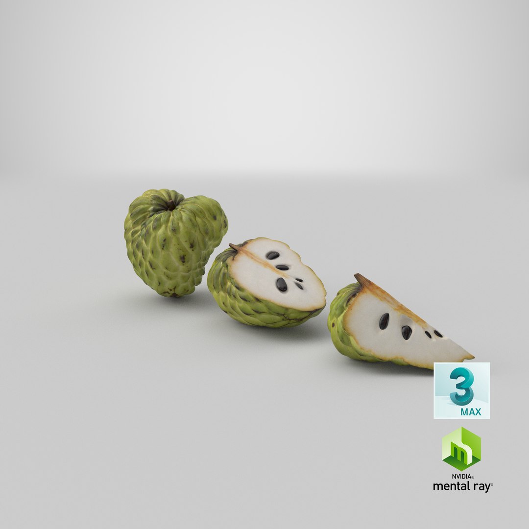 3D model Cherimoya Set https://p.turbosquid.com/ts-thumb/65/cDsf9y/6S/stemcell_max_mental_ray_render/png/1639111589/1920x1080/fit_q87/ccf3b80a4d2ddf5217679f2dce7482967d60bef4/stemcell_max_mental_ray_render.jpg