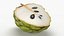 Cherimoya-Set