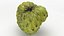 Cherimoya-Set