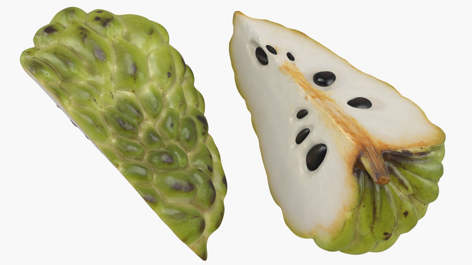 3D model Cherimoya Set https://p.turbosquid.com/ts-thumb/65/cDsf9y/Nb/cherimoyaslice_a0002/jpg/1638371267/1920x1080/fit_q87/d089be2076066bb35e2a9ef2bf936f68250b62e6/cherimoyaslice_a0002.jpg