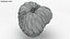 Cherimoya-Set