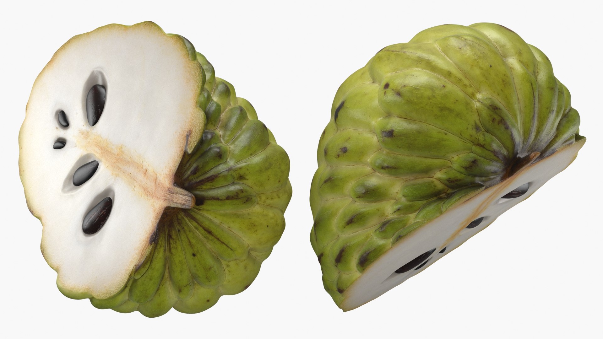 3D model Cherimoya Set https://p.turbosquid.com/ts-thumb/65/cDsf9y/Q6/cherimoyahalf_a0002/jpg/1634044265/1920x1080/fit_q87/adec51e74d1b6074dedbe918f39c19d264f4894f/cherimoyahalf_a0002.jpg
