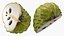 Cherimoya-Set