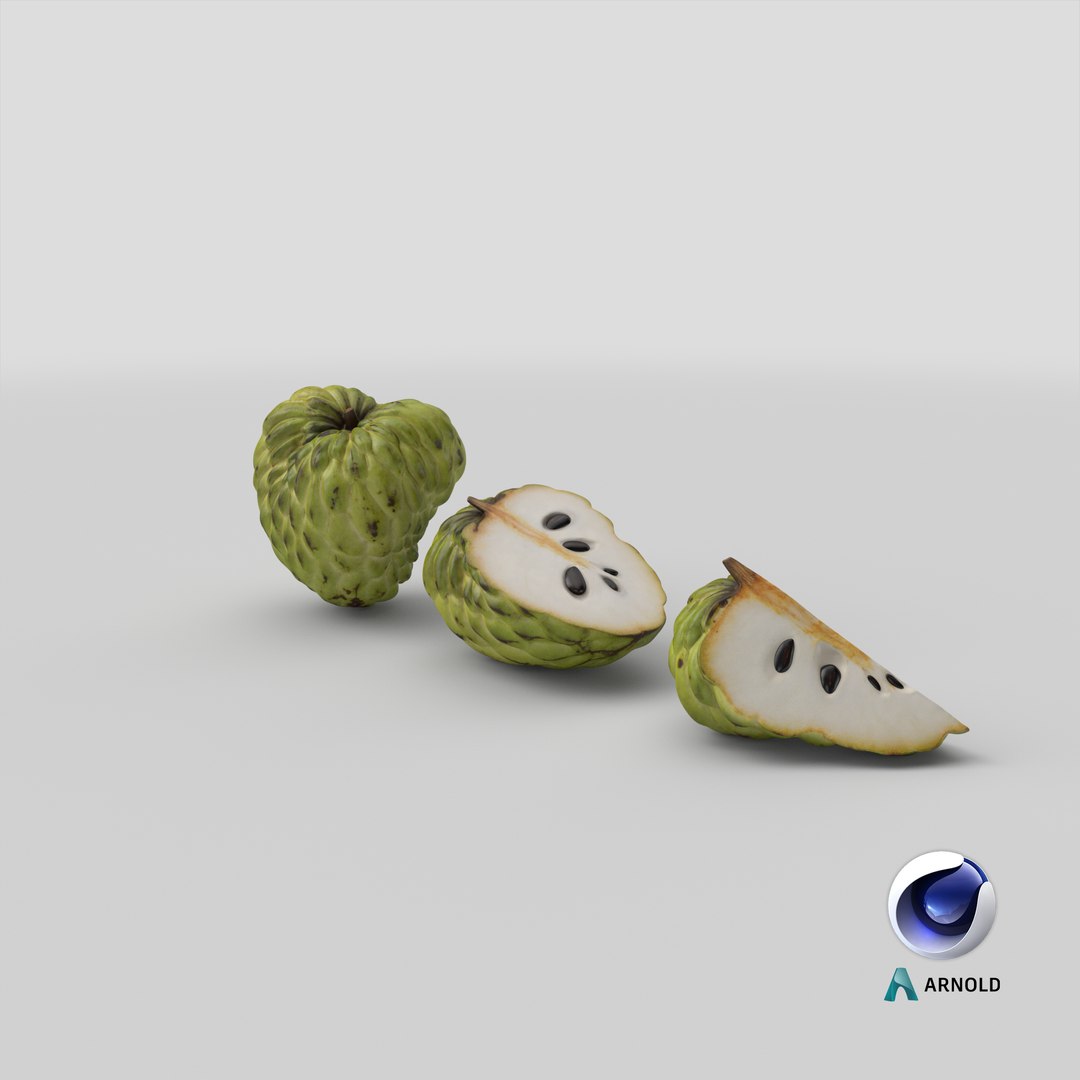 3D model Cherimoya Set https://p.turbosquid.com/ts-thumb/65/cDsf9y/S2/stemcell_cinema_4d_arnold_render/png/1639111585/1920x1080/fit_q87/c2b4a36682faed808c226a3570ba3e0c78338eaf/stemcell_cinema_4d_arnold_render.jpg