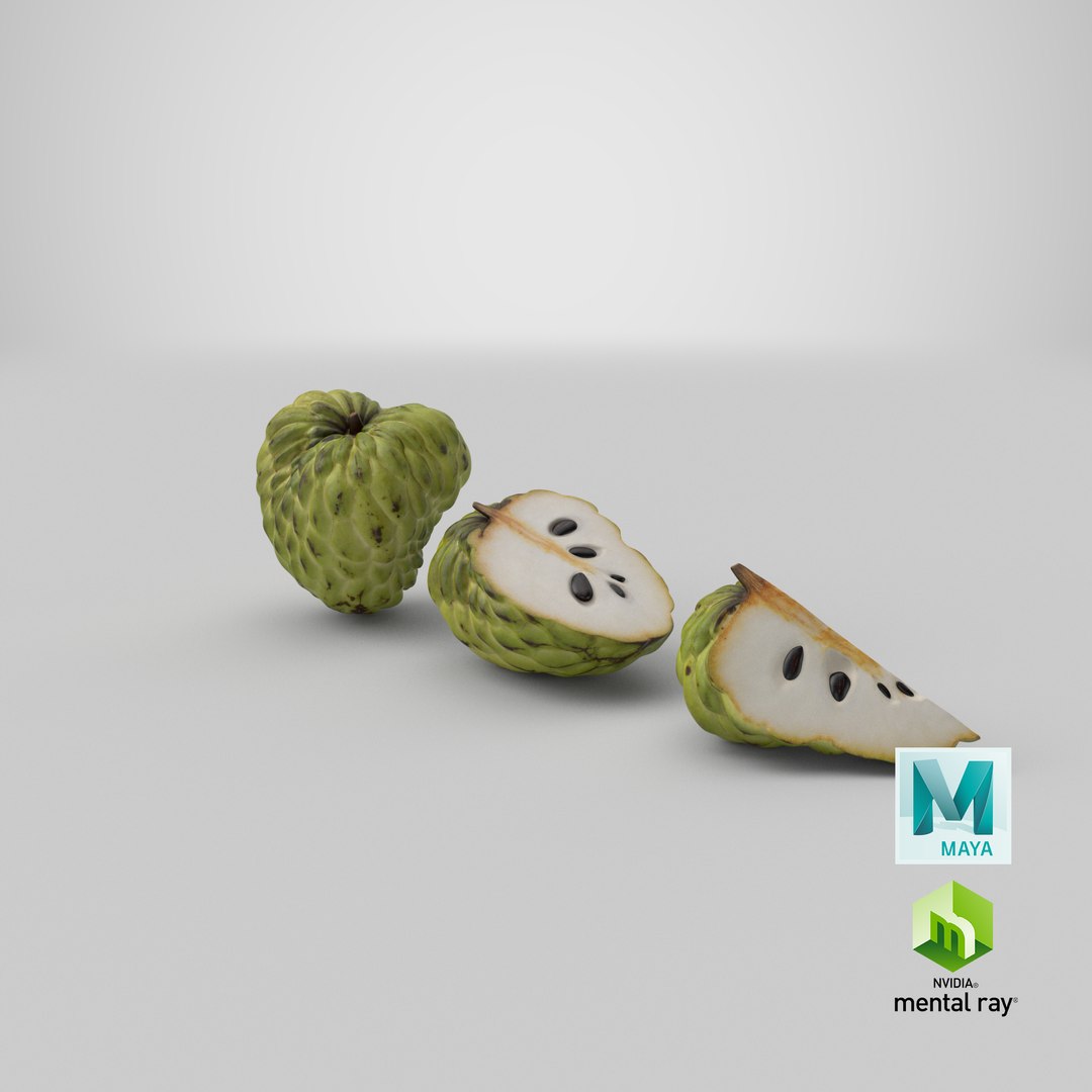 3D model Cherimoya Set https://p.turbosquid.com/ts-thumb/65/cDsf9y/b3/stemcell_maya_mental_ray_render/png/1639111593/1920x1080/fit_q87/ba2caab506ee8bd540720f769aaea6d3ae58d5d3/stemcell_maya_mental_ray_render.jpg