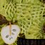 Cherimoya-Set