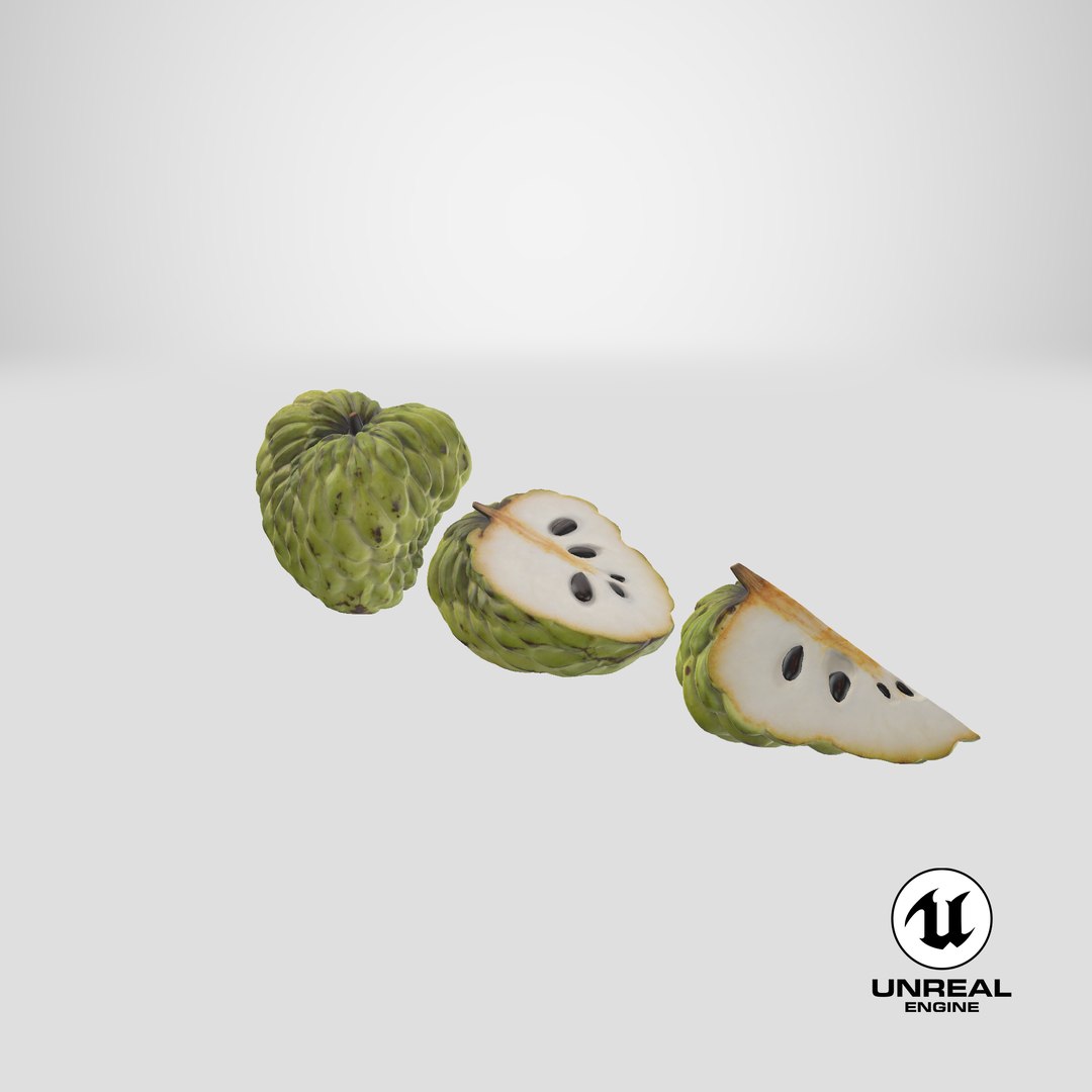 3D model Cherimoya Set https://p.turbosquid.com/ts-thumb/65/cDsf9y/hj/stemcell_unreal_render/png/1639111587/1920x1080/fit_q87/2909815b7460d6055ba52b97bb3356e9fc8e9b37/stemcell_unreal_render.jpg
