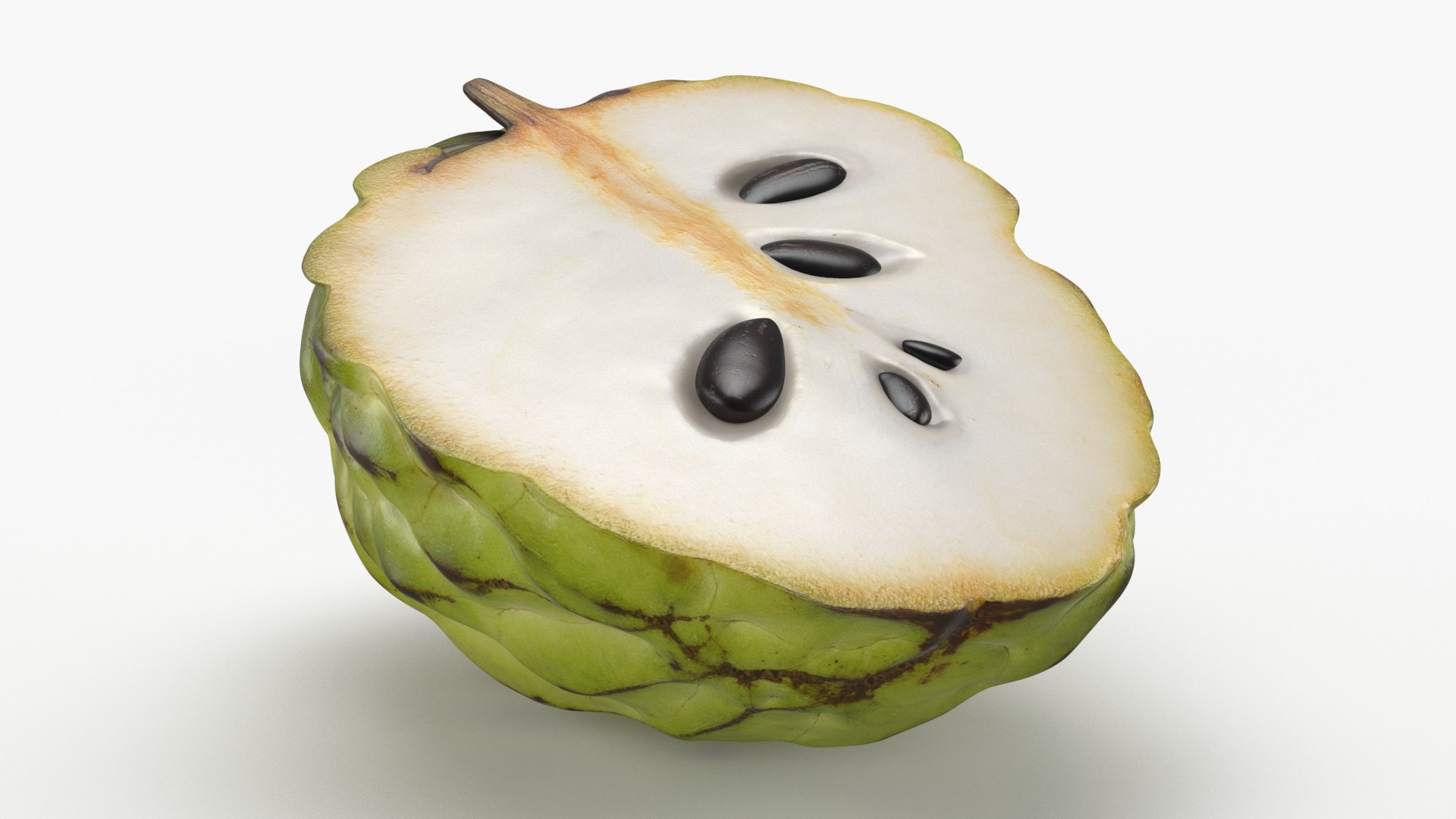 3D model Cherimoya Set https://p.turbosquid.com/ts-thumb/65/cDsf9y/nZ/cherimoyahalf_a0001/jpg/1634044263/1920x1080/fit_q87/a59b7ad9917c21a433062e825402b3ef79dc25a1/cherimoyahalf_a0001.jpg