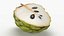 Cherimoya-Set