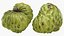 Cherimoya-Set