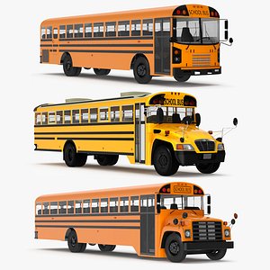 School Buses Collection 3D