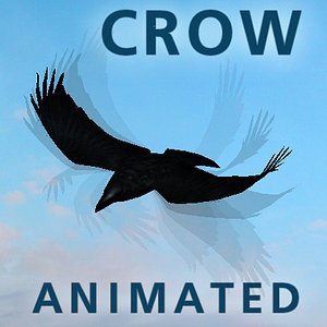 Crow Animated