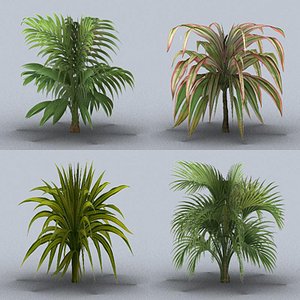 trees tropical
