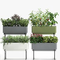Vegetable garden in the kitchen 1059
