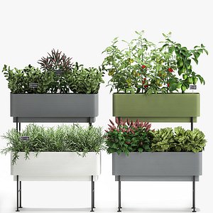 Vegetable garden in the kitchen 1059