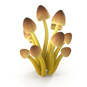 Mycena Renati mushrooms 3D