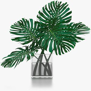 monstera leaves 3D model