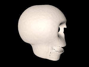 3D funny talking skull model