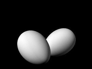 egg white 3d model