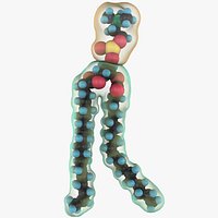 Phospholipid