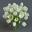 3d model white tulips