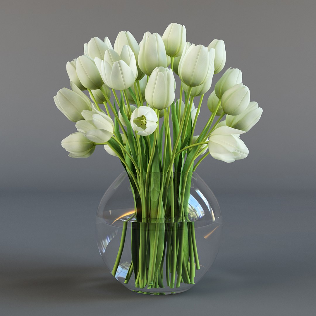 3d model white tulips