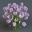 3d model white tulips