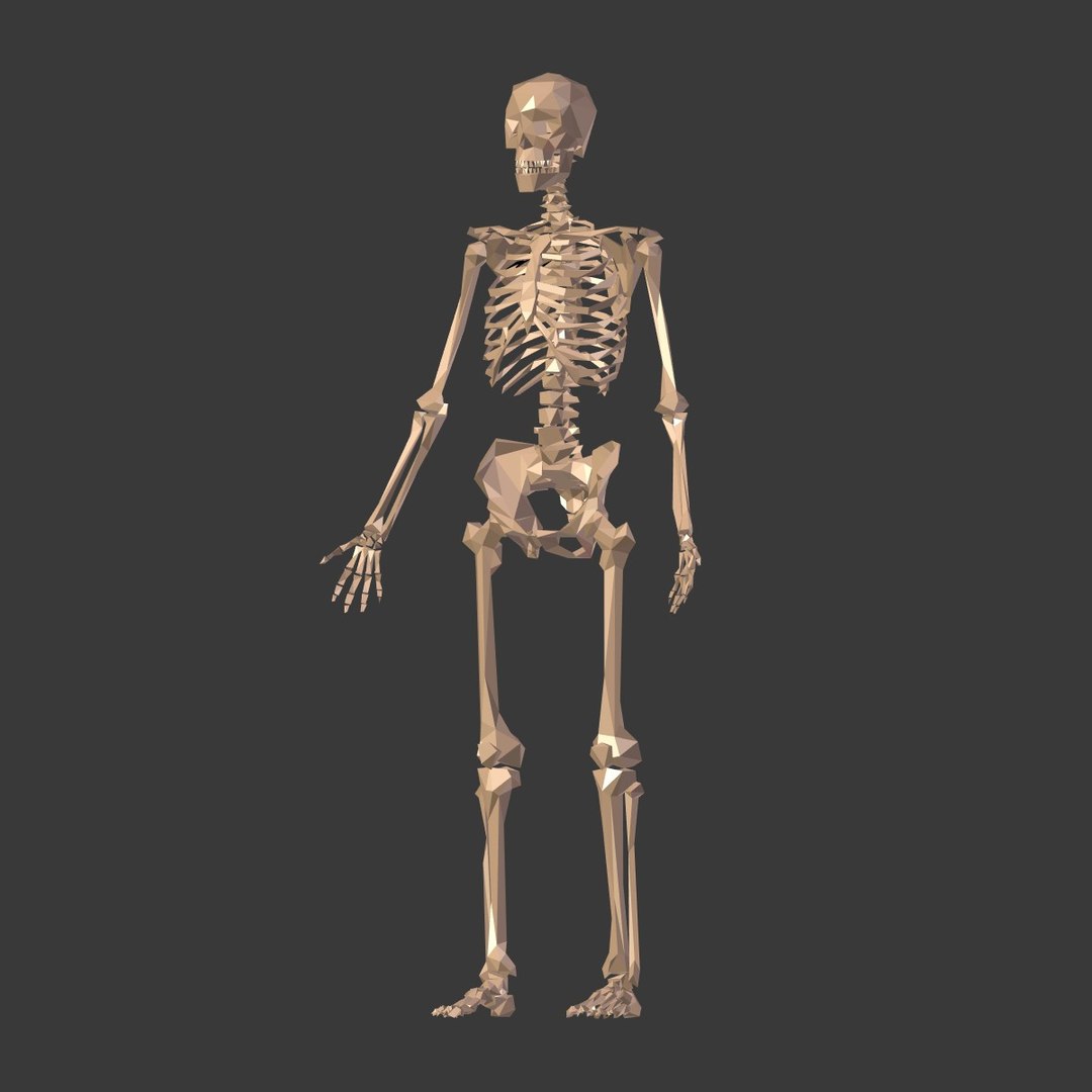 3D cartoon skeleton - TurboSquid 1362287