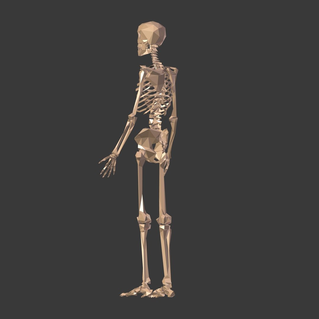 3D cartoon skeleton - TurboSquid 1362287